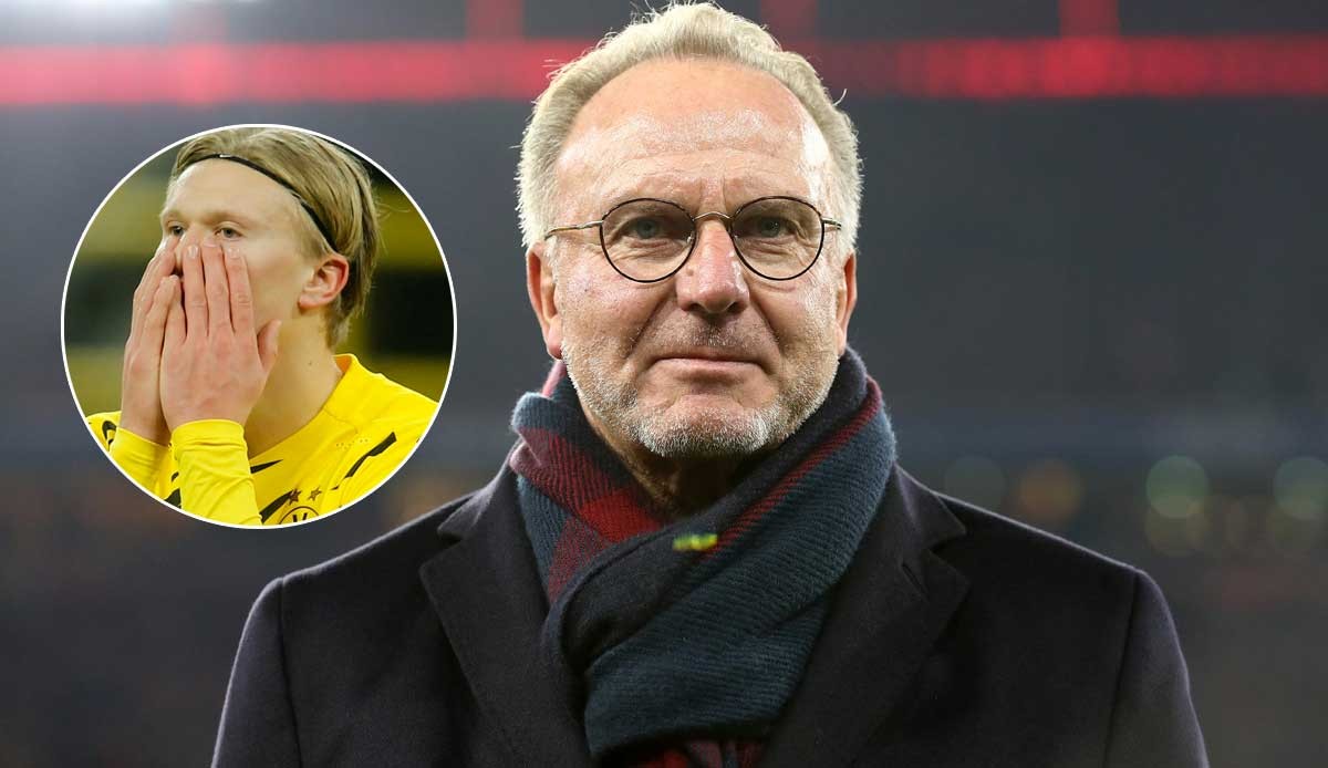 自制视频：重生，法国国脚托万2025-26赛季个人集锦（自制剪辑：法国国脚托万涅槃回归 2025-26赛季高光集锦）